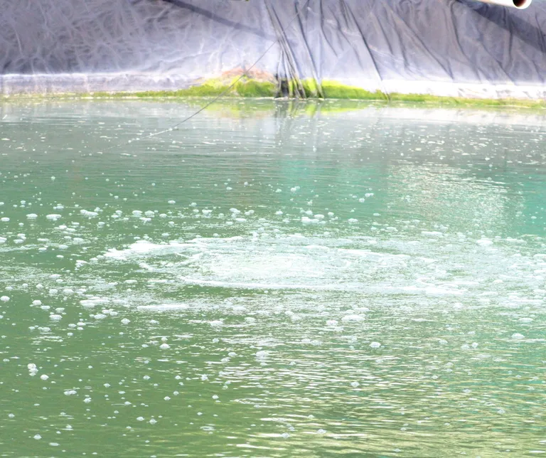 Burbujas de aireación de agua