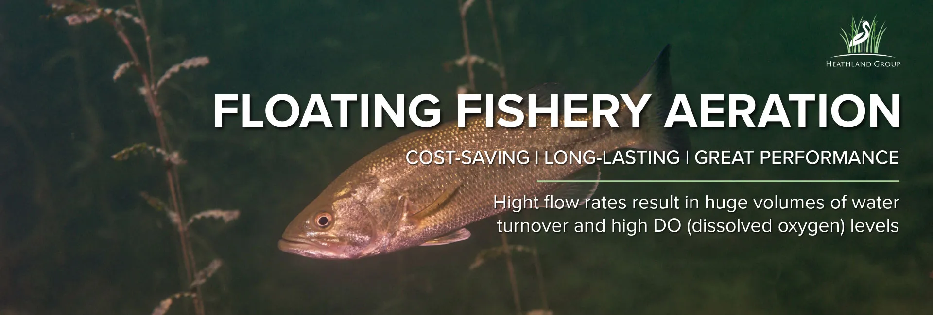 Floating fishery aeration to keep your fish happy and healthy