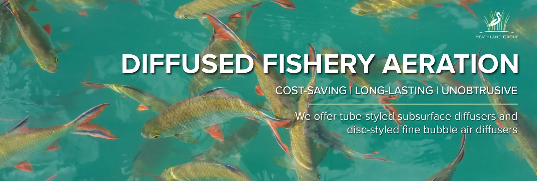 Diffused fishery aeration to keep your fish stocks healthy