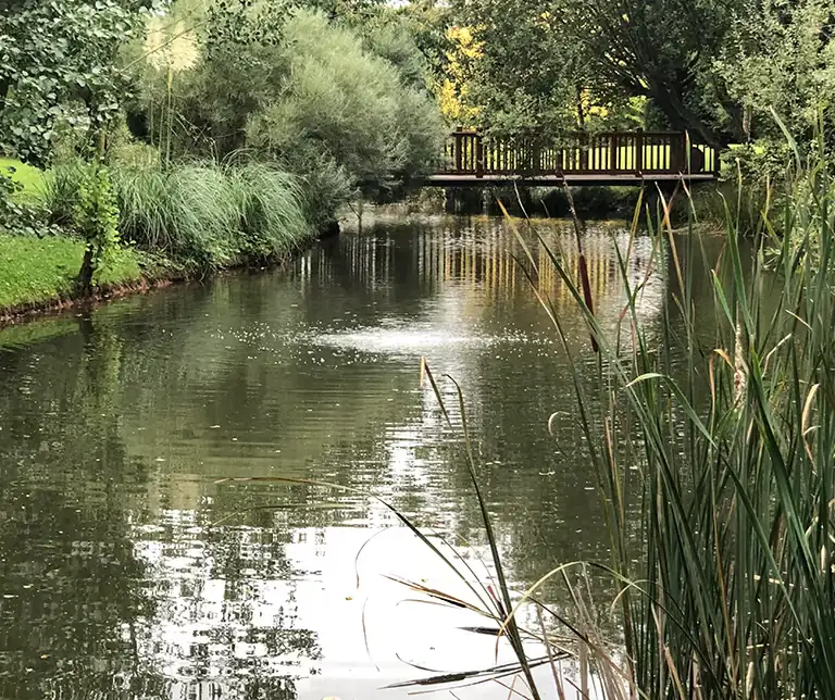 Diffused lake aeration