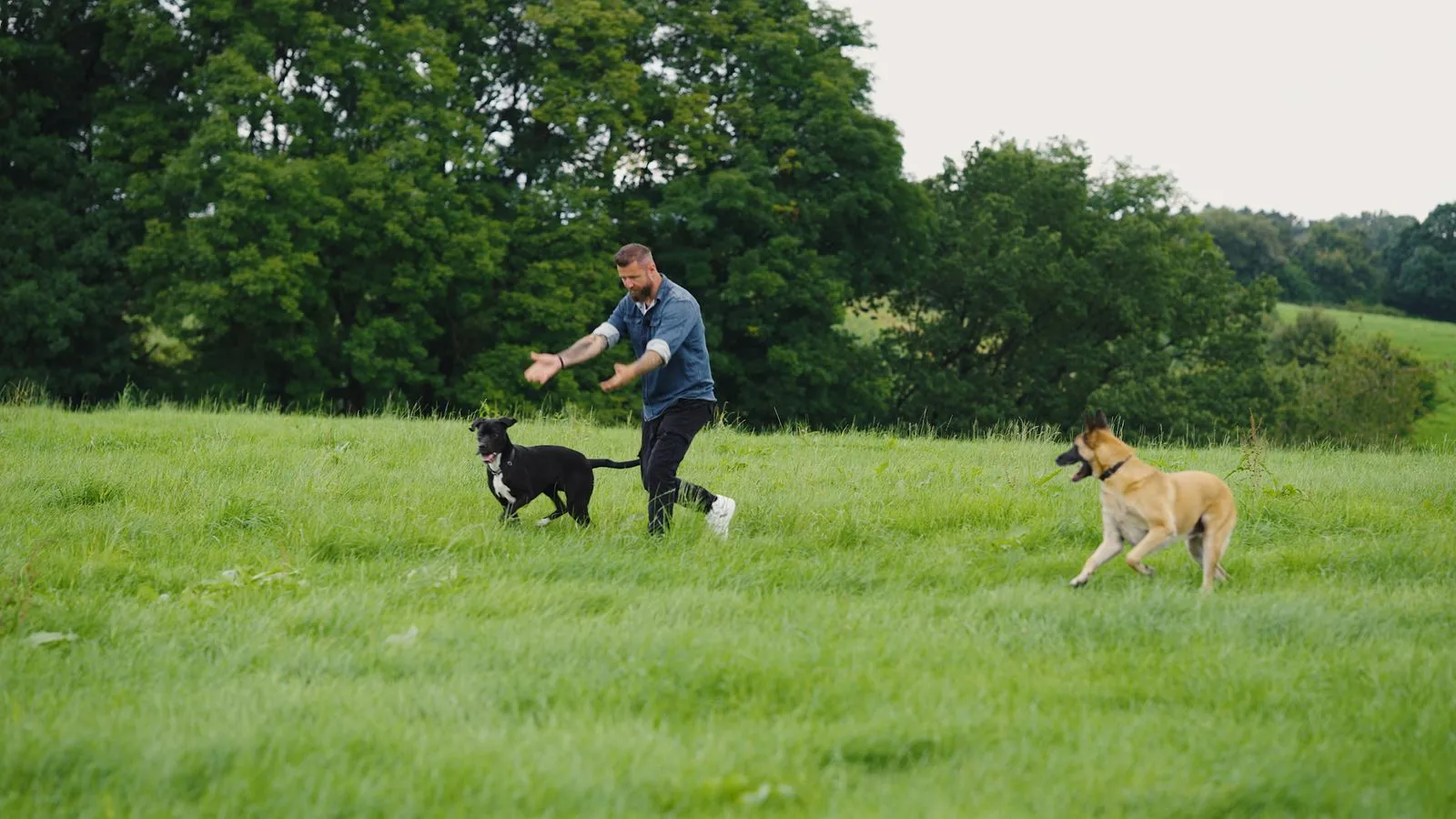 Hundetrainer Andre Vogt