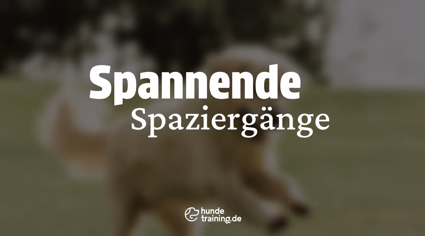 Spannende Spaziergänge