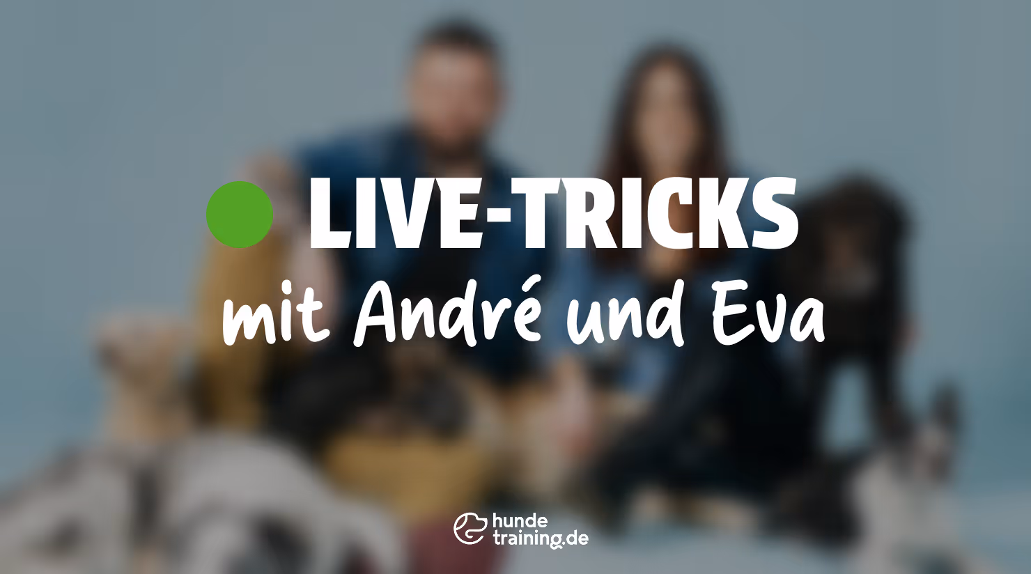 Live Tricks mit Eva und Andre