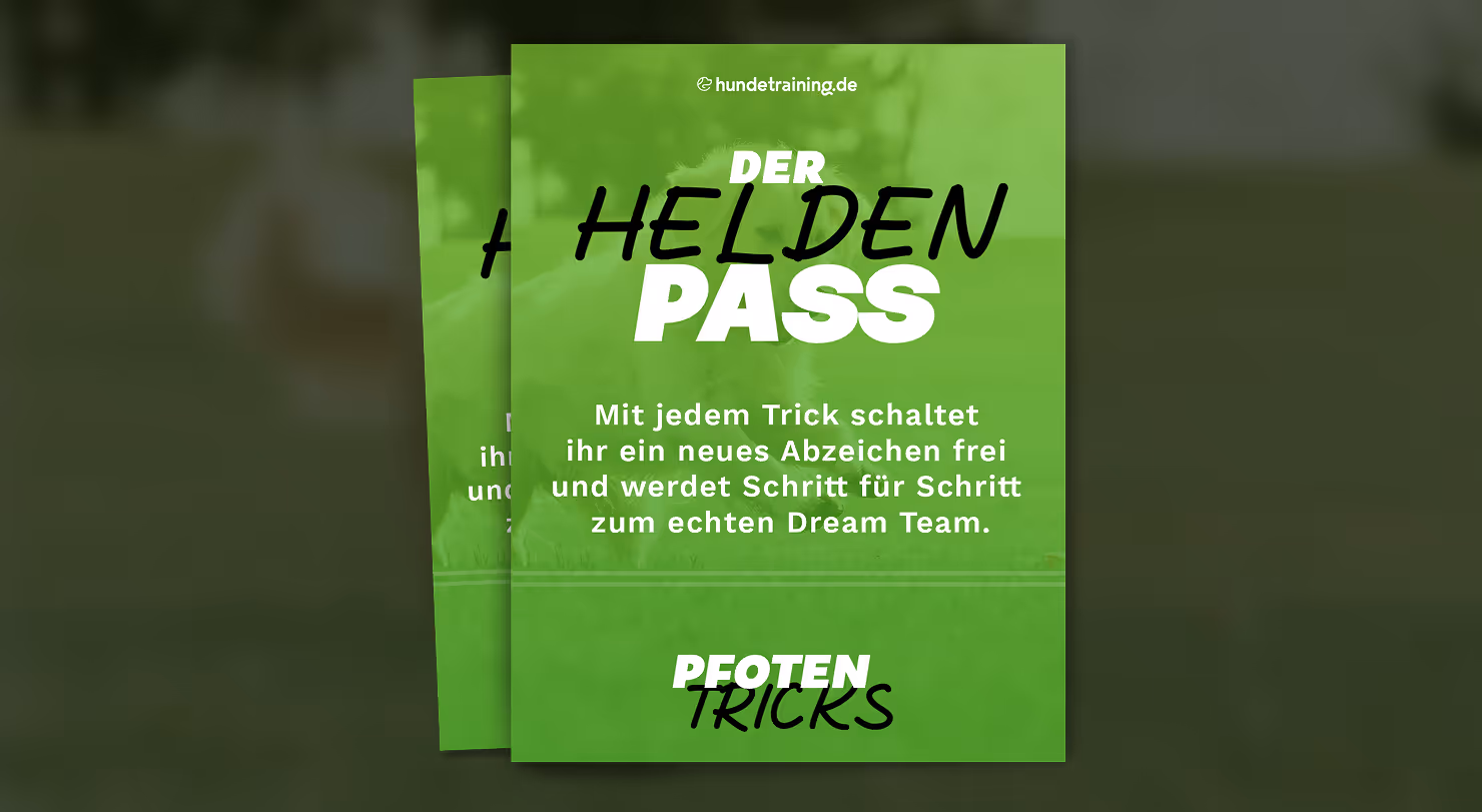 Heldenpass