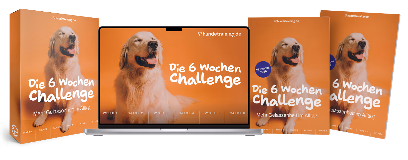Die 6 Wochen Challenge als Kurspaket – Hundetraining.de