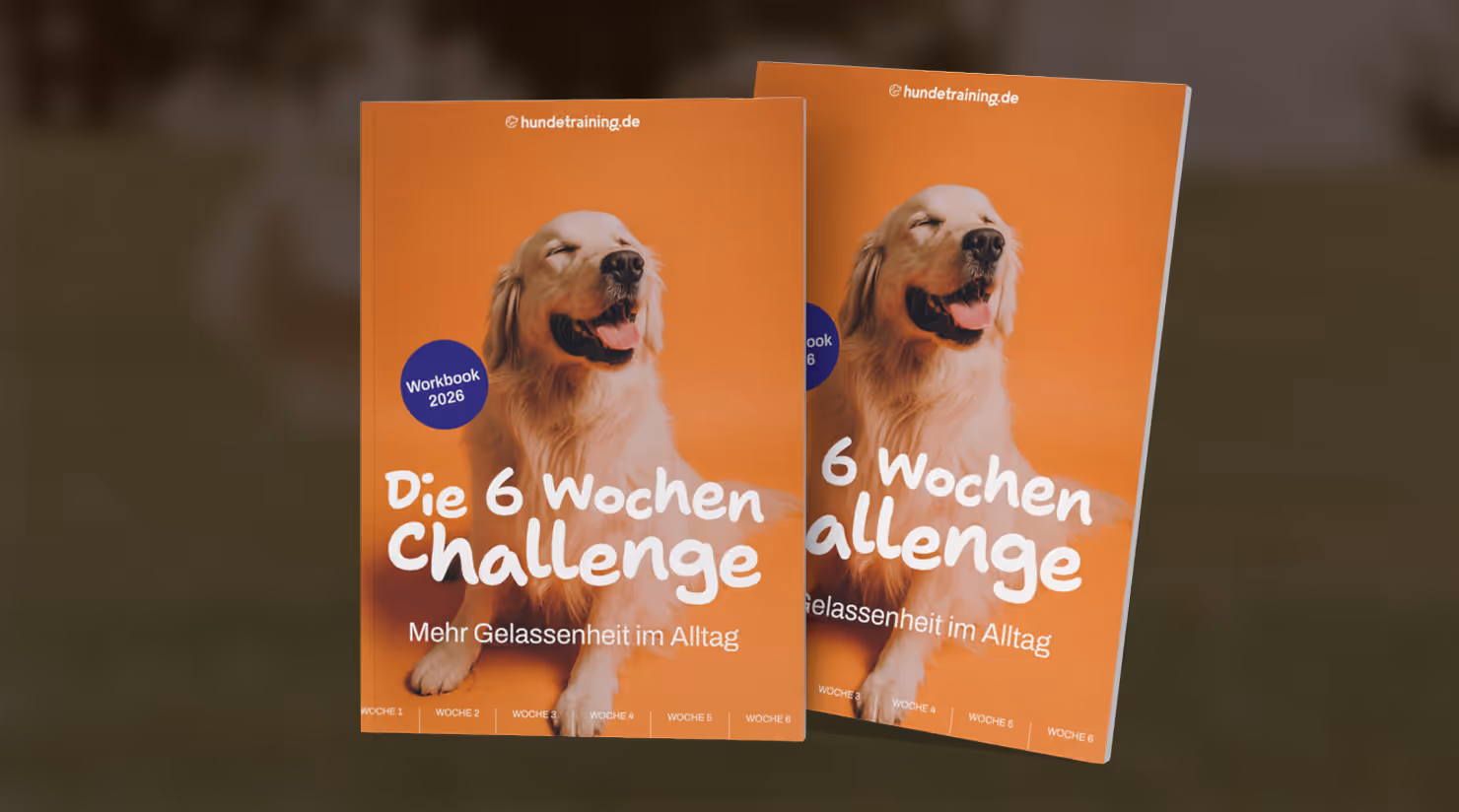 Workbook der 6 Wochen Challenge – Hundetraining.de