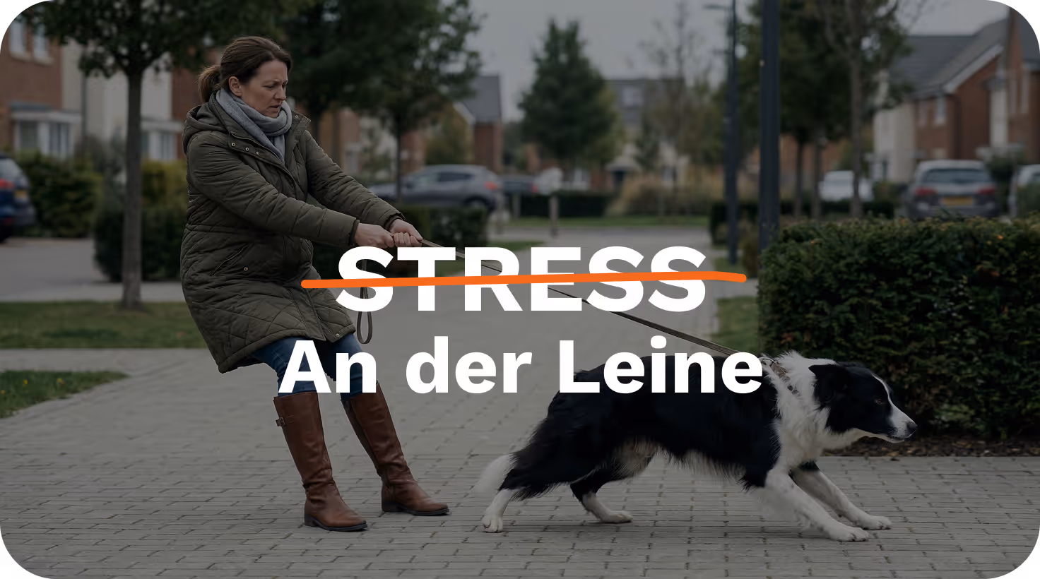 Frau mit ziehendem Hund an der Leine – Stress an der Leine, Challenge Hundetraining.de