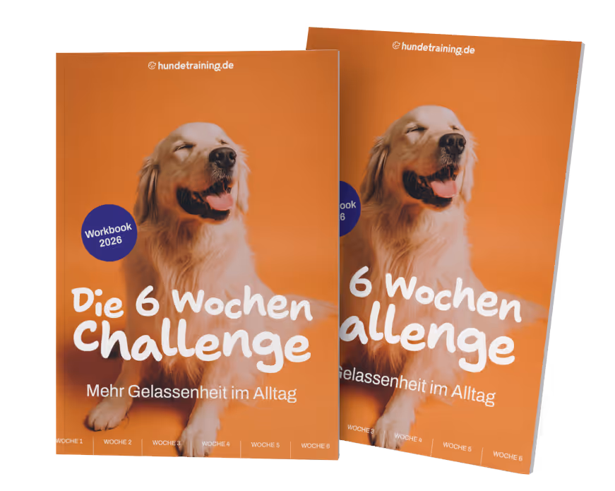 Zwei Cover der 6 Wochen Challenge – 6-Wochen-Challenge Hundetraining.de