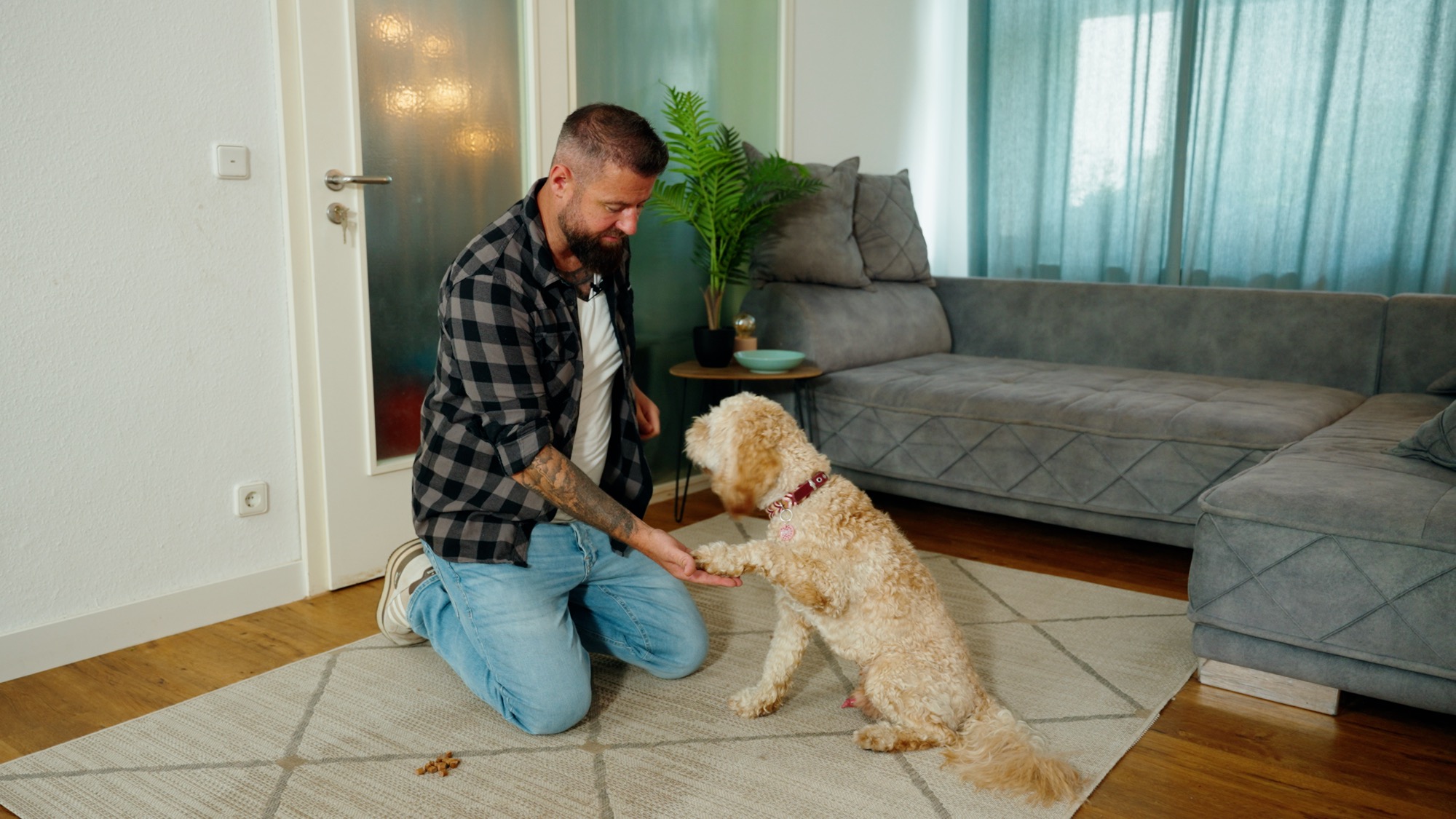 Mann kniet im Wohnzimmer und lässt sich von seinem Hund die Pfote geben