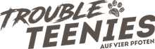 Logo Trouble's Teenies