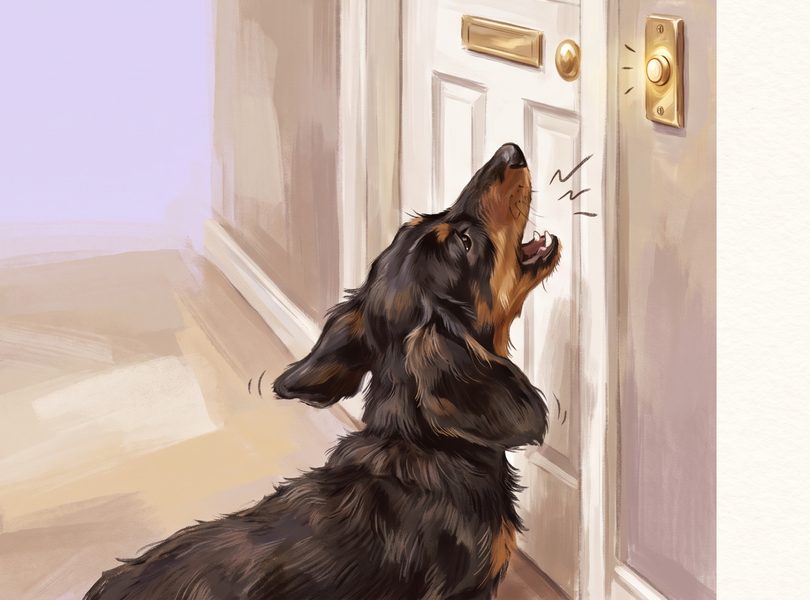 Hund bellt an der Haustür, wenn es klingelt