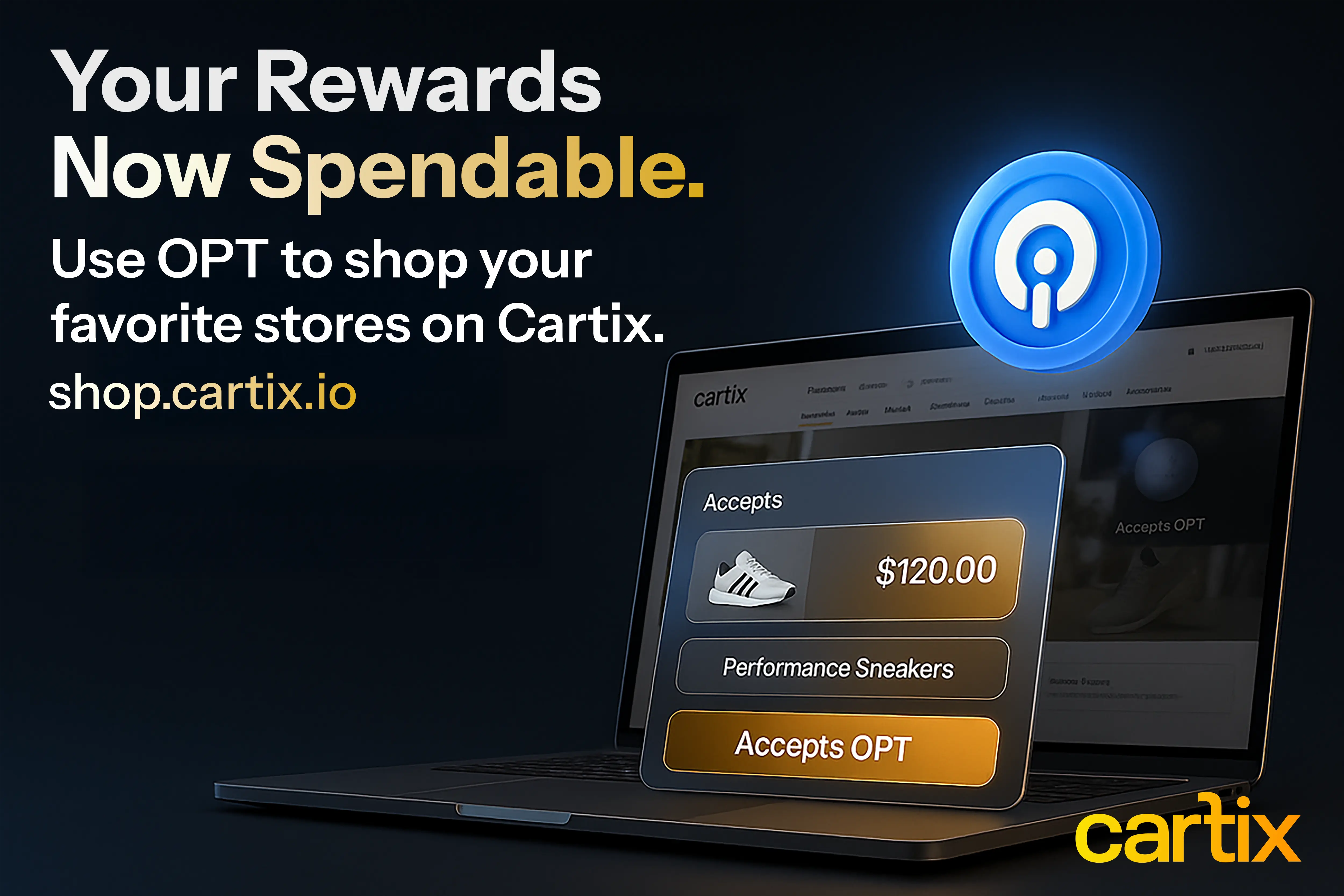Image shows shopping on Cartix on a laptop and shows a vendor that accepts OPT