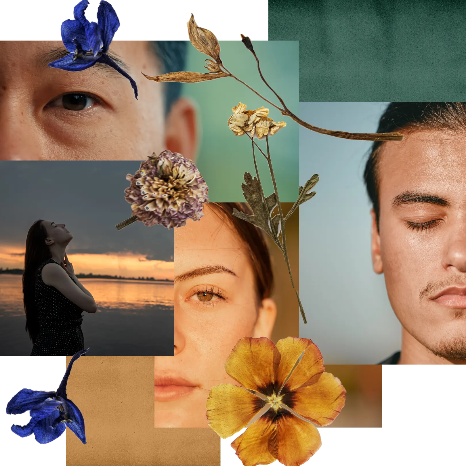 3 peaceful faces and collage dried florals around their images