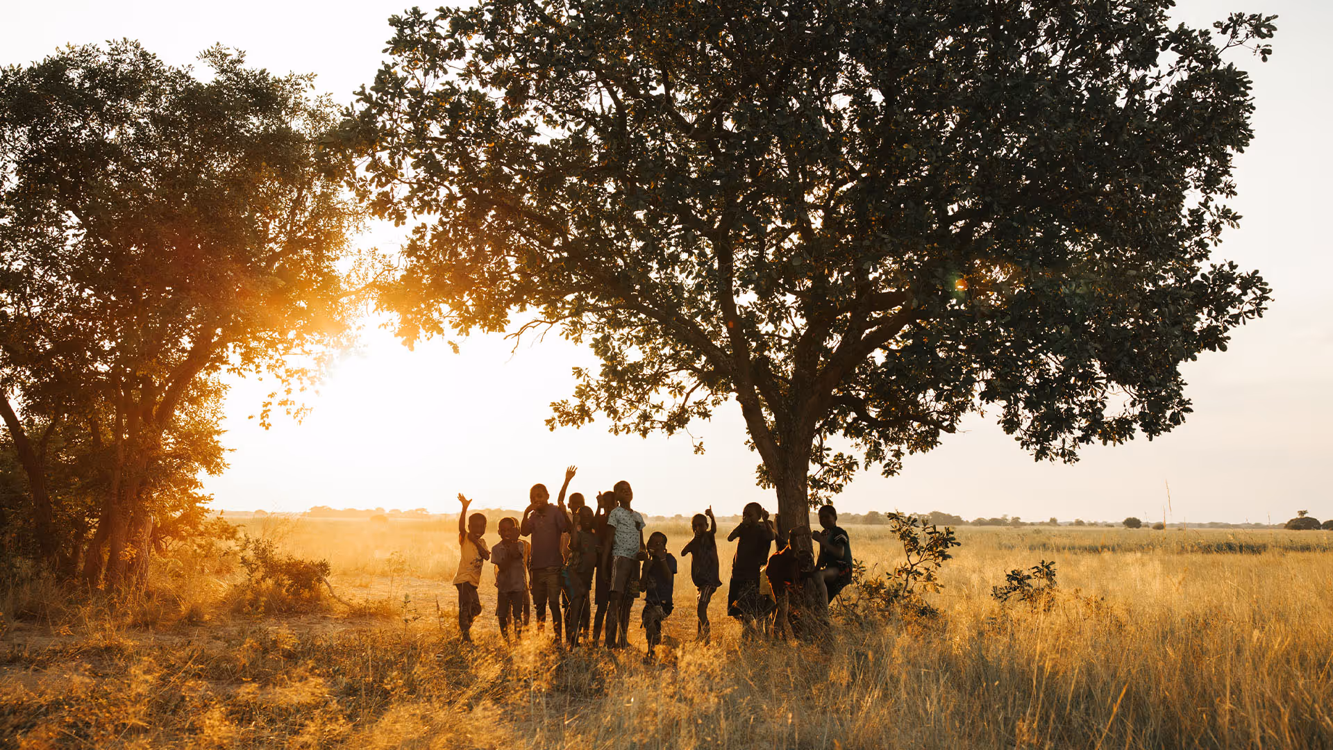 Crowd photo in Zimbabwe from the stage
