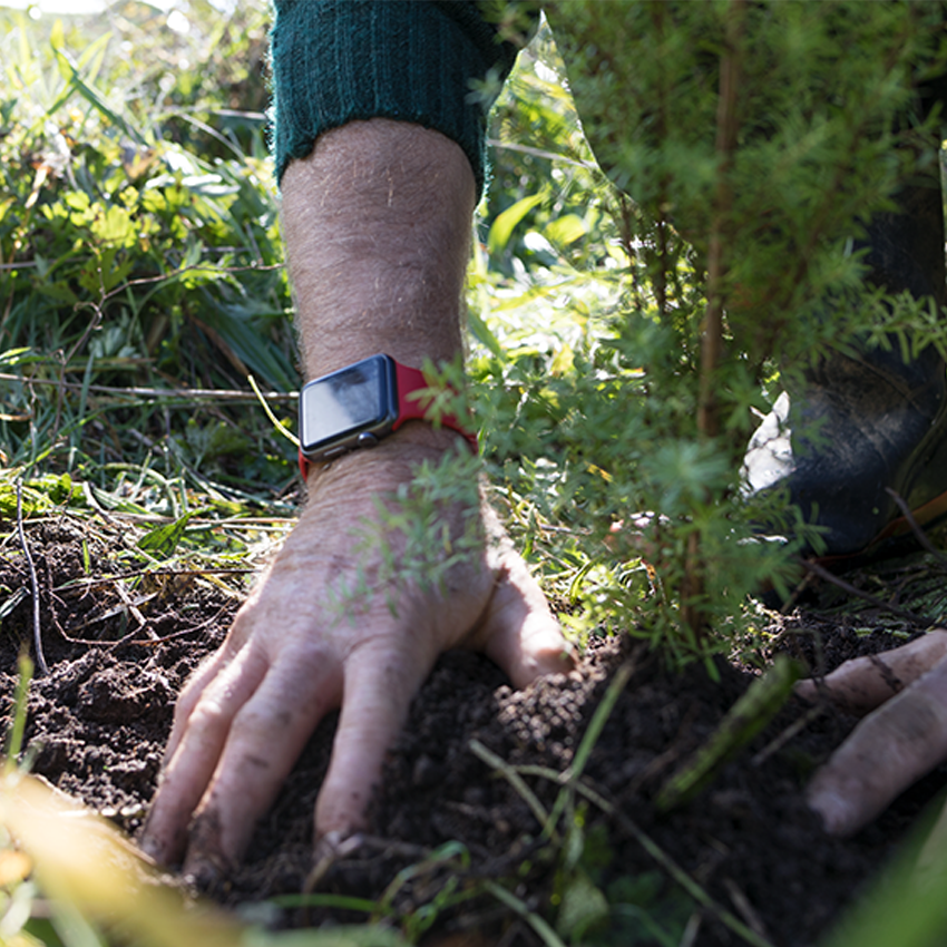 Services | We Deliver Regulatory Solutions for Clients Locally and Globally | Glen Neal Group