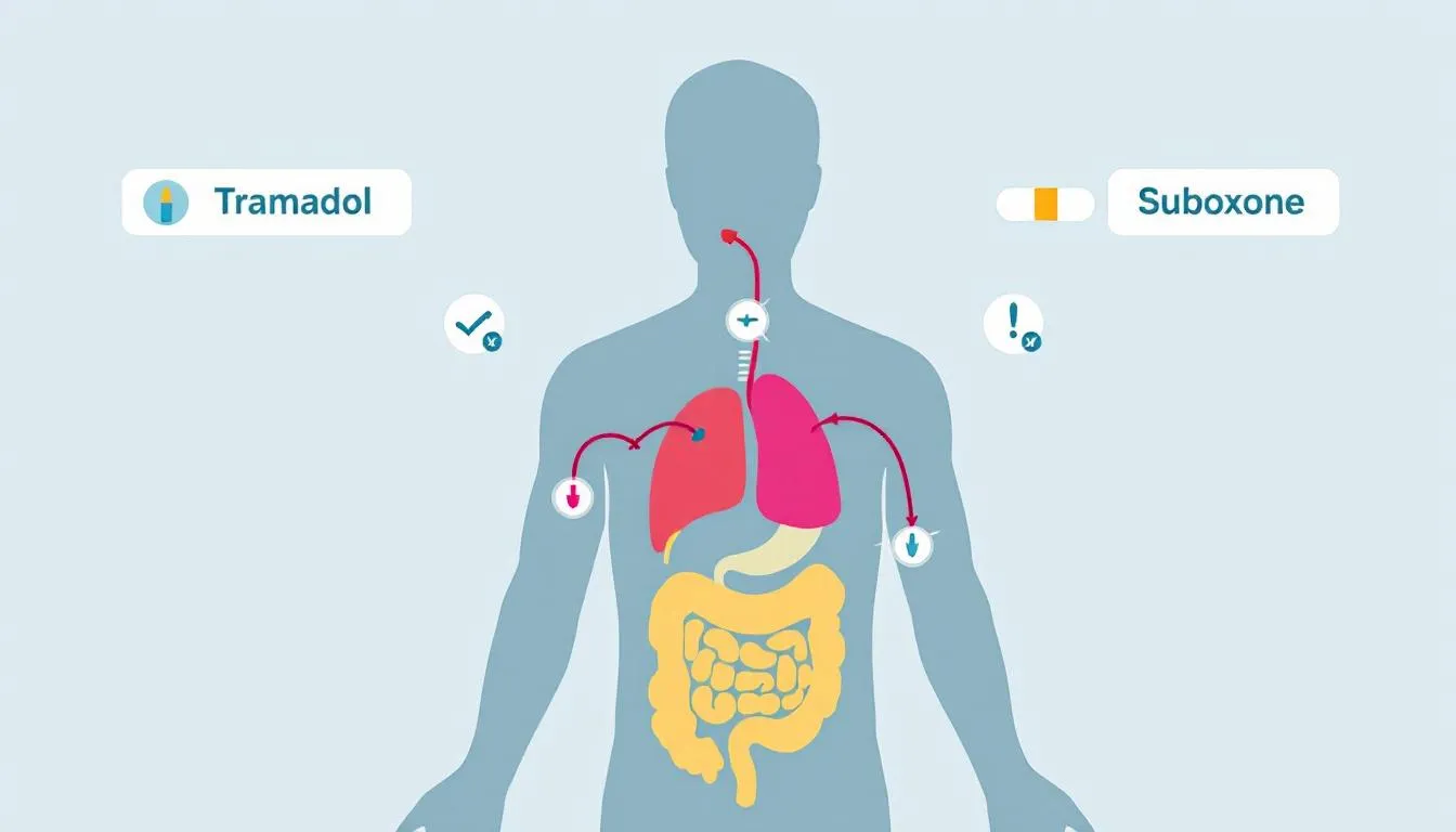 A visual guide to alternatives for patients considering tramadol and Suboxone together.