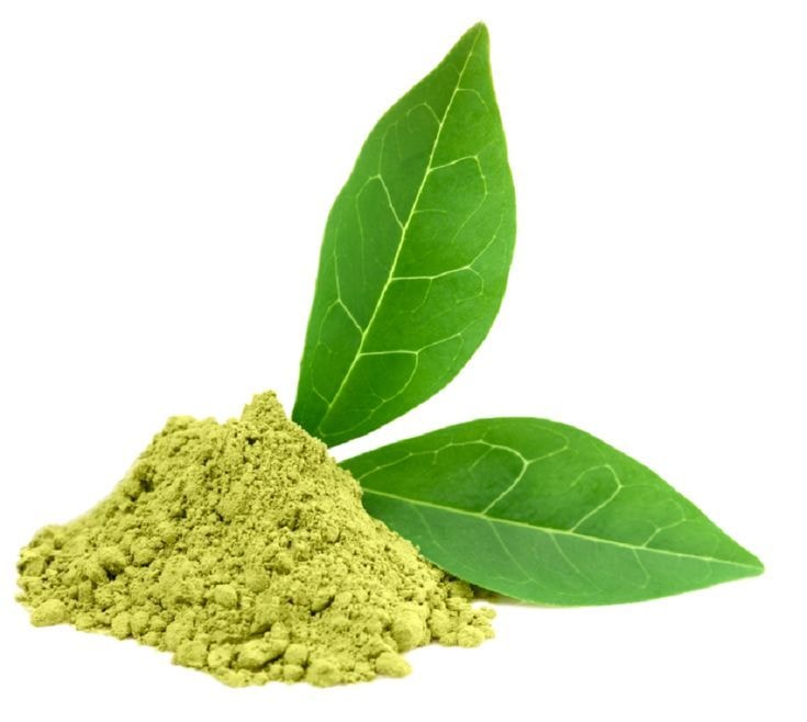 A quick cohesive guide to kratom with a visual representation of kratom leaves and powder.
