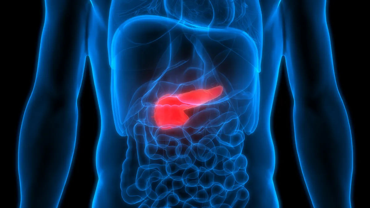 A diagram illustrating how Suboxone and Ozempic work in the body.