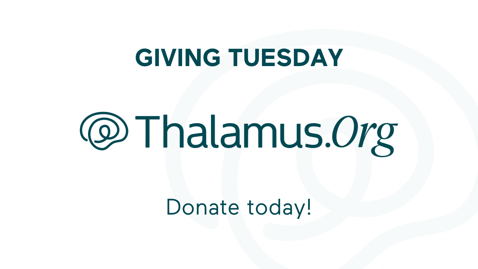 This Giving Tuesday: Support Future Physicians Through Thalamus.Org
