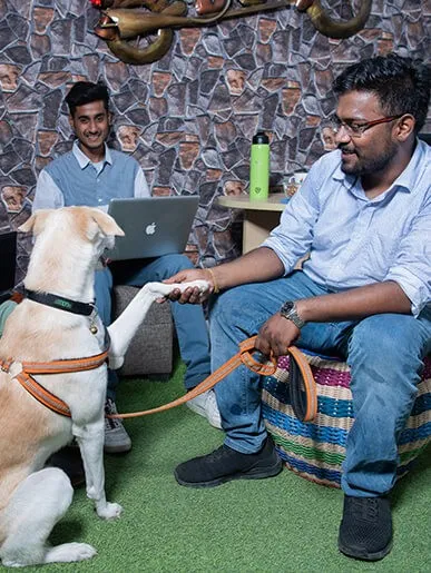 Why Successive Digital?