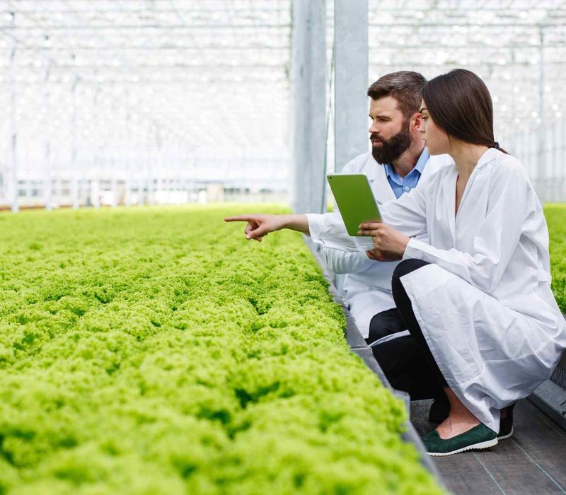 Modernizing AgriTech Mobile Apps for Smarter, Connected Farming Operations