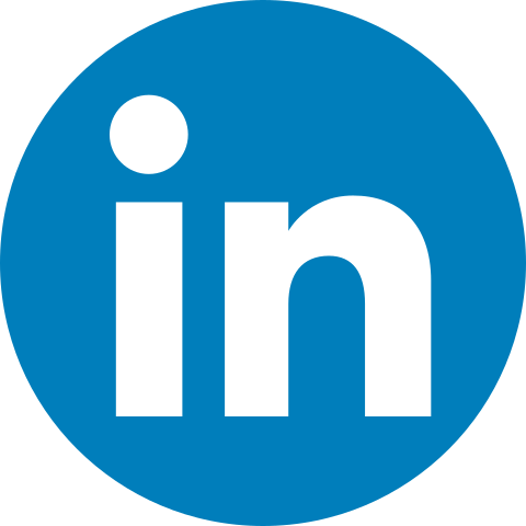 LinkedIn logo icon