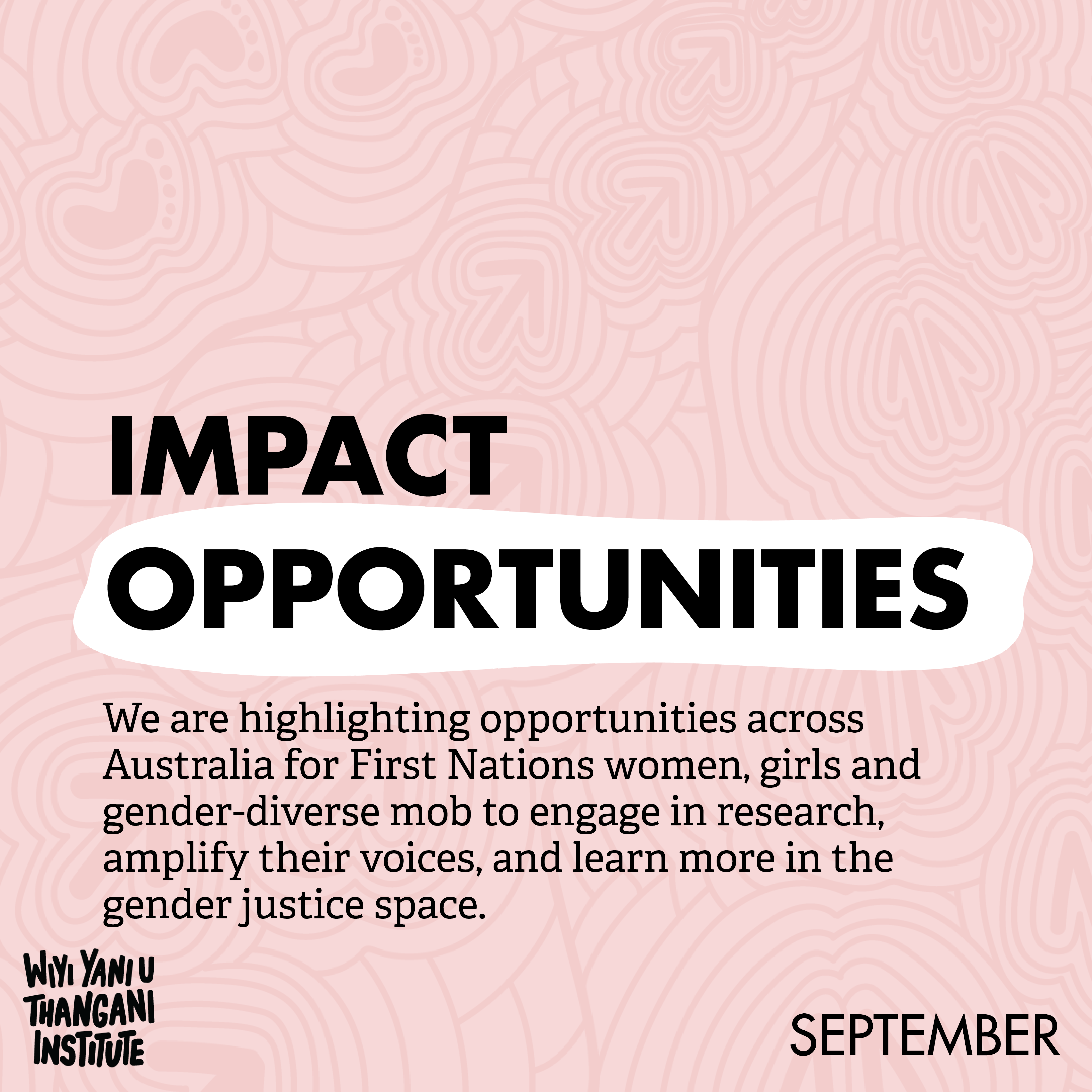 Instagram tile that says 'Impact Opportunities'