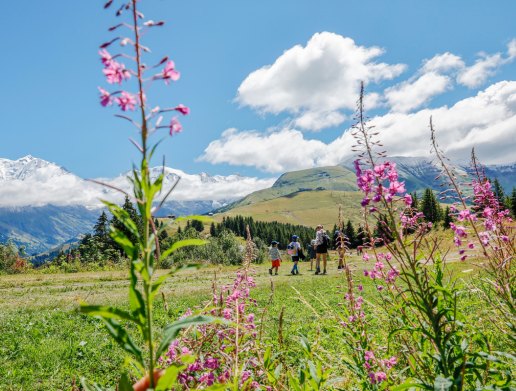 A generous natural setting overlooking Mont Blanc in Saint-Gervais