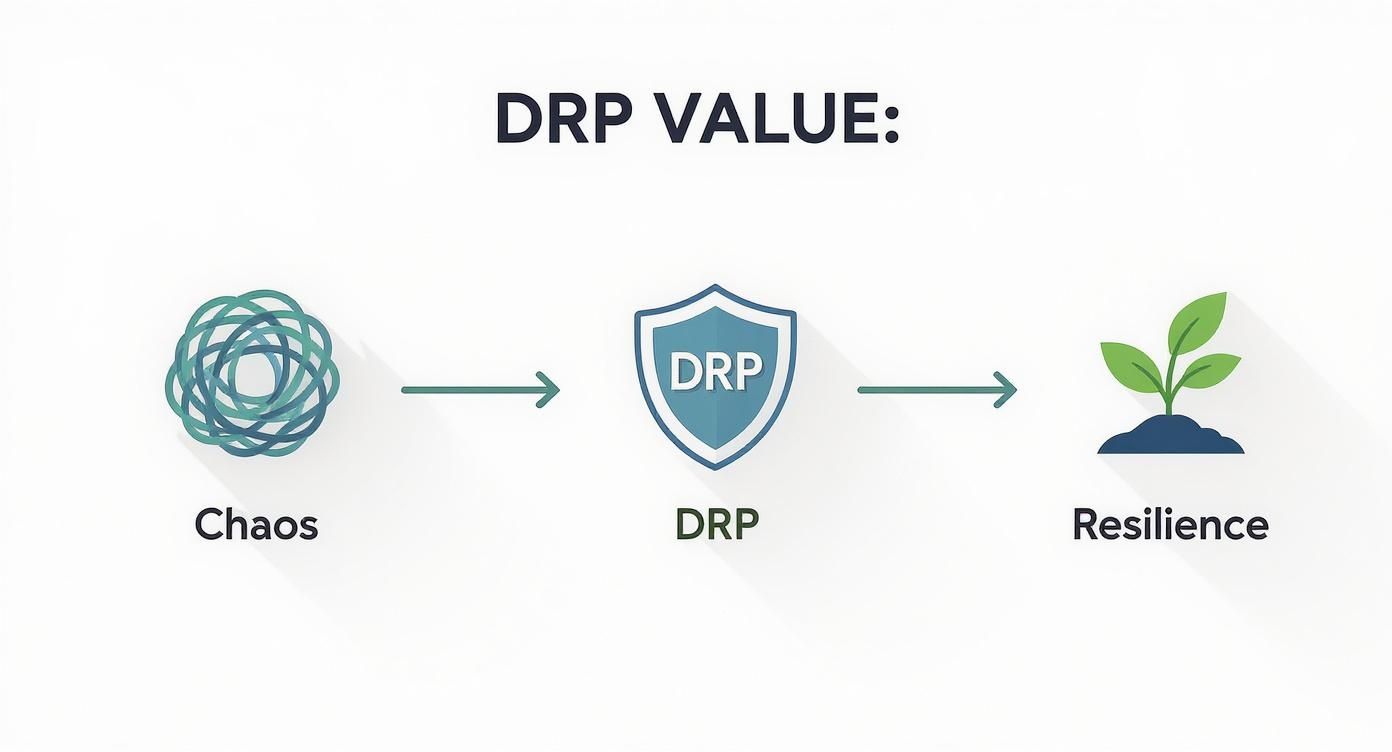 Infographic about what is disaster recovery planning