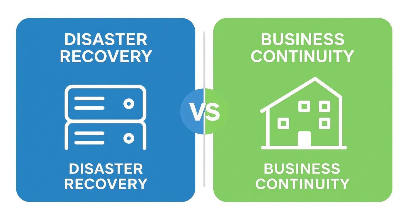 Infographic about disaster recovery versus business continuity