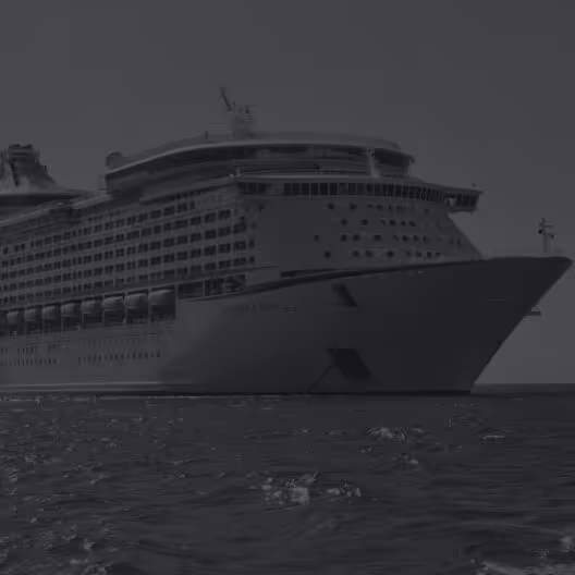 Cruise ship