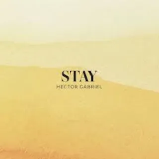 Stay cover