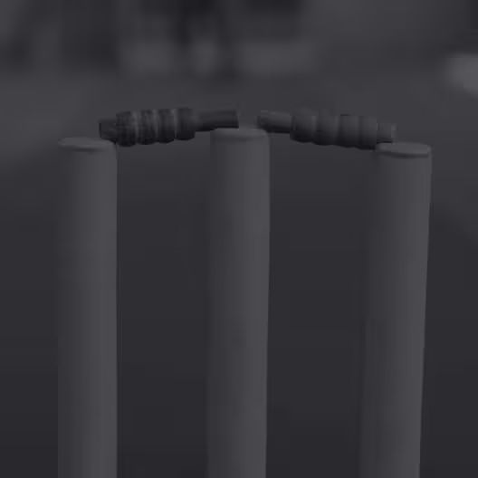 Cricket wicket