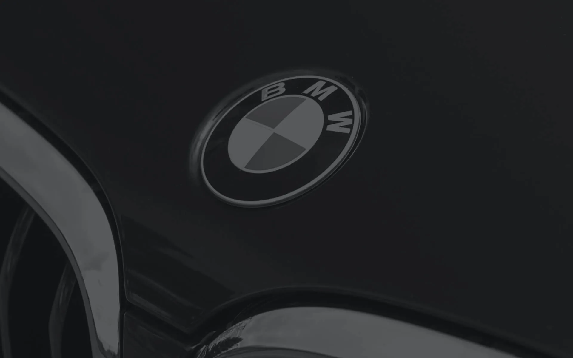 Close up of a BMW badge on the front of a car