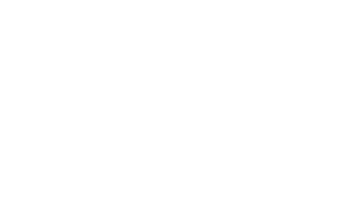 BMW logo