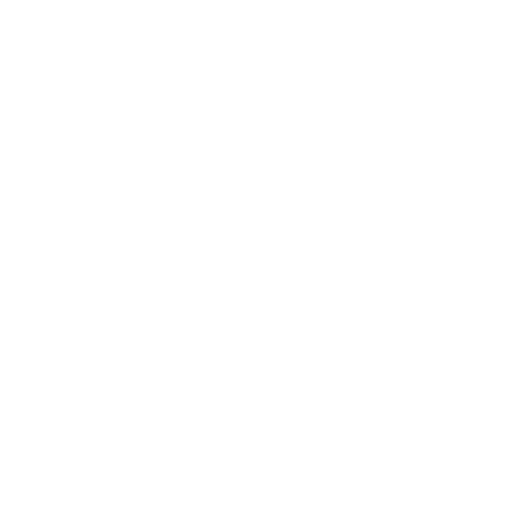 Initial Consultation