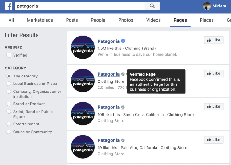Patagonia blue and gray badges