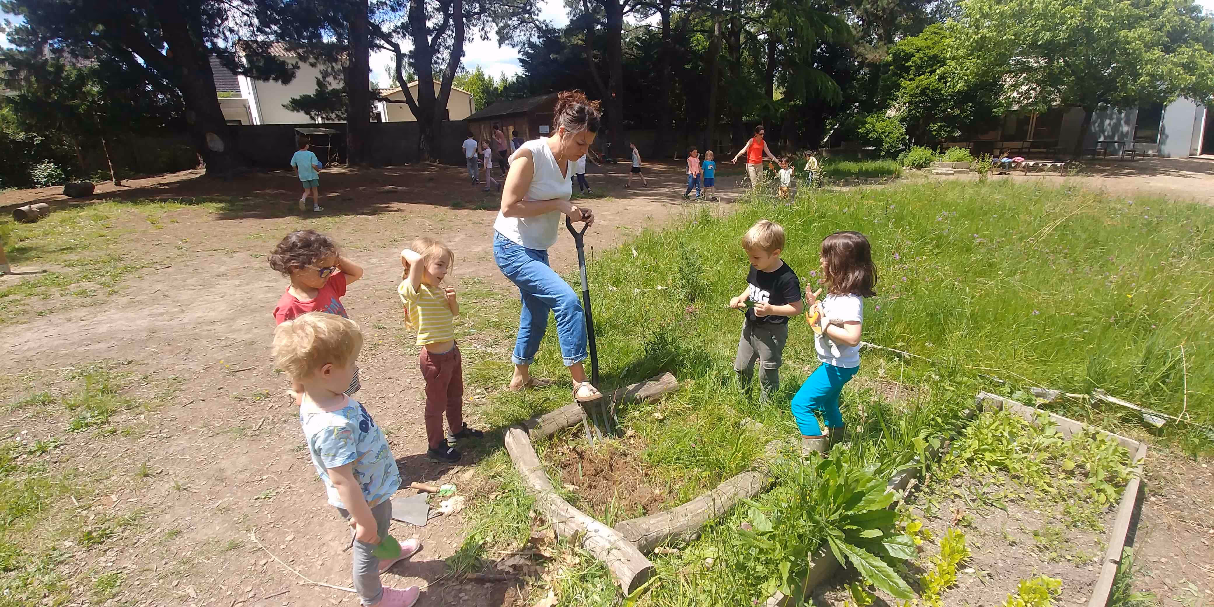 Vue du jardin-forêt du Lieu Utile avec ses espaces naturels et sa végétation luxuriante