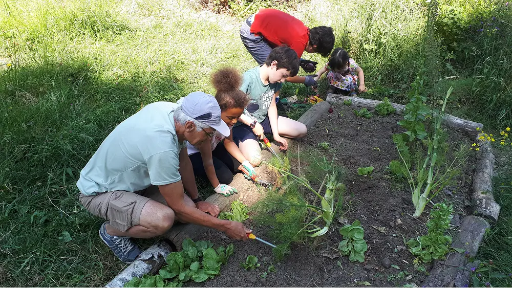 Jardin pédagogique en permaculture et refuge biodiversité LPO - Le Lieu Utile