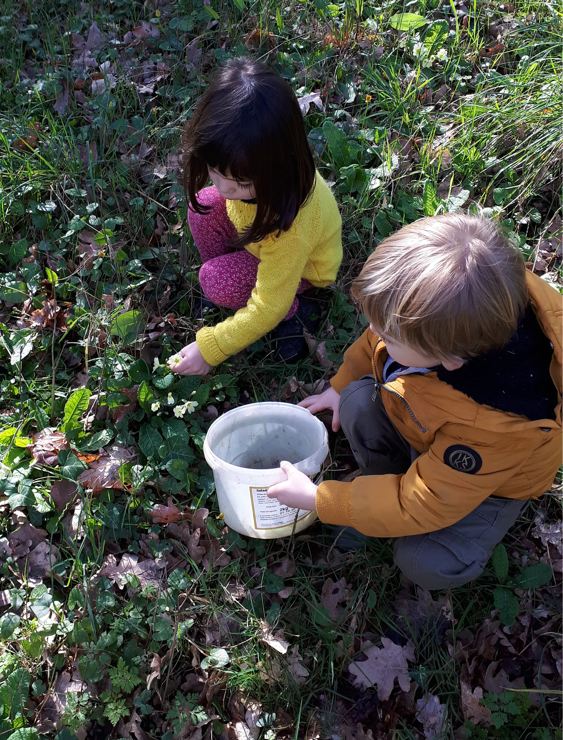 École alternative Le Lieu Utile à Bouguenais : enfants apprenant dans un jardin-forêt près de Nantes