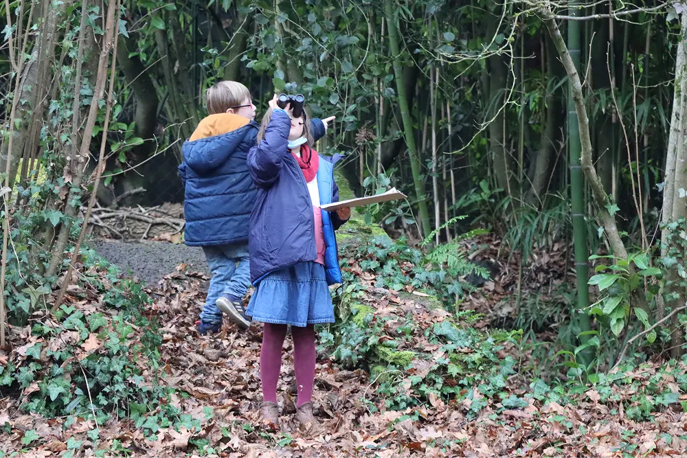 Enfants dans le jardin du Lieu Utile observant les oiseaux du refuge LPO