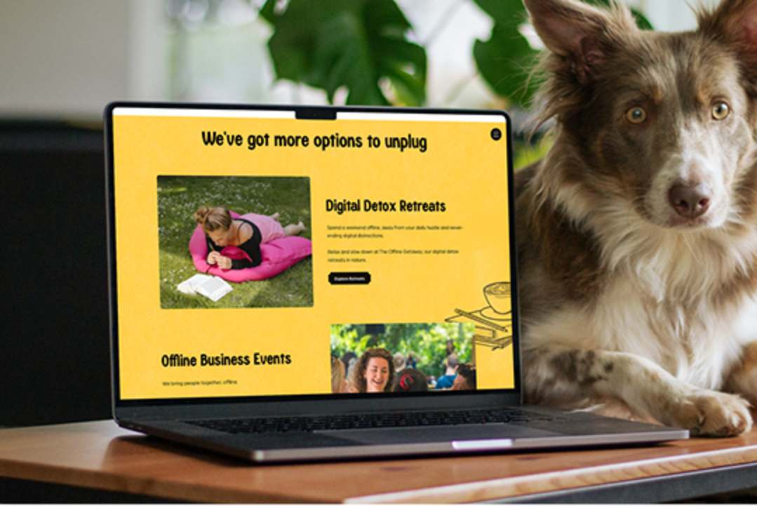 site profile thumbnail