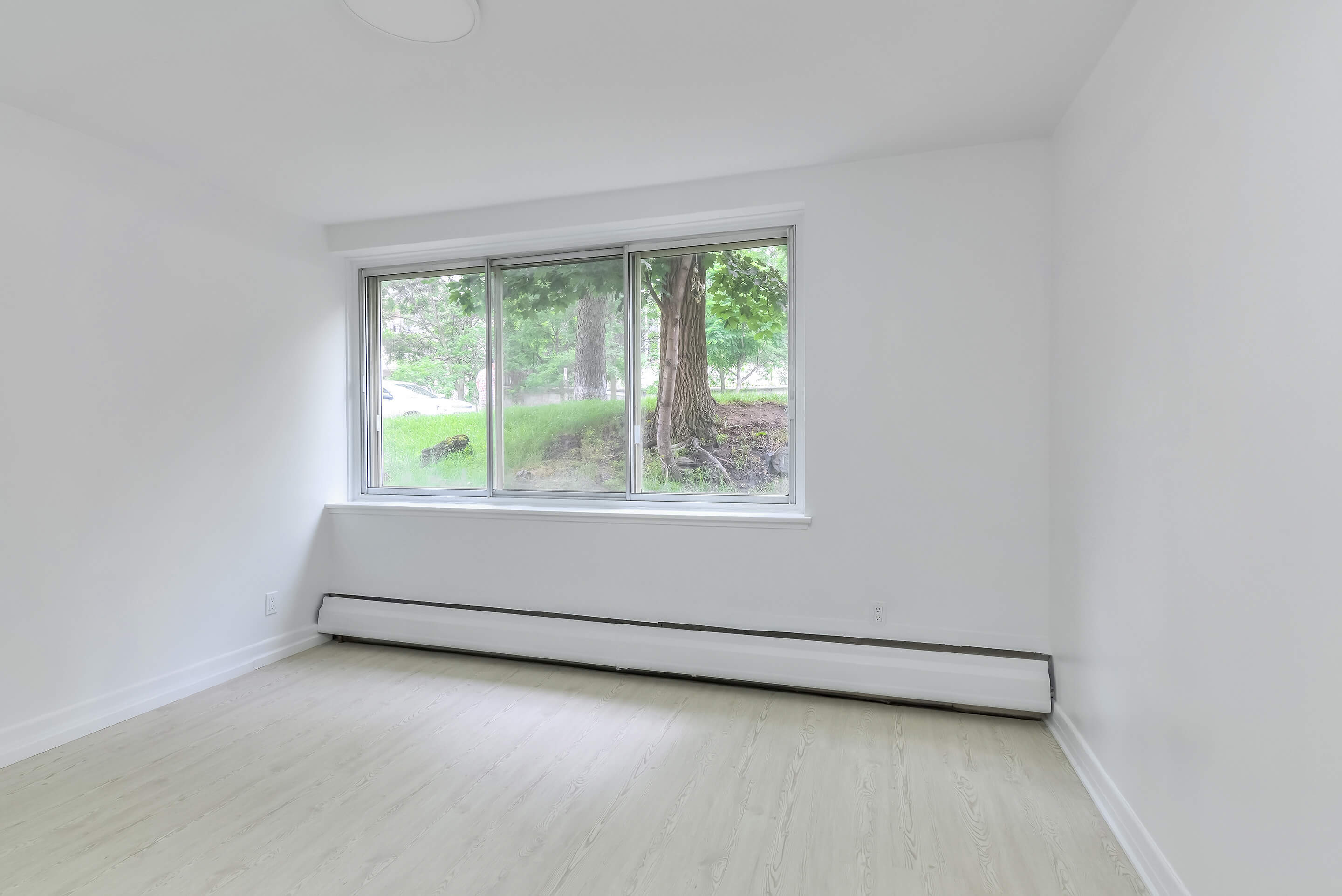 3½ à louer Montreal photo 4