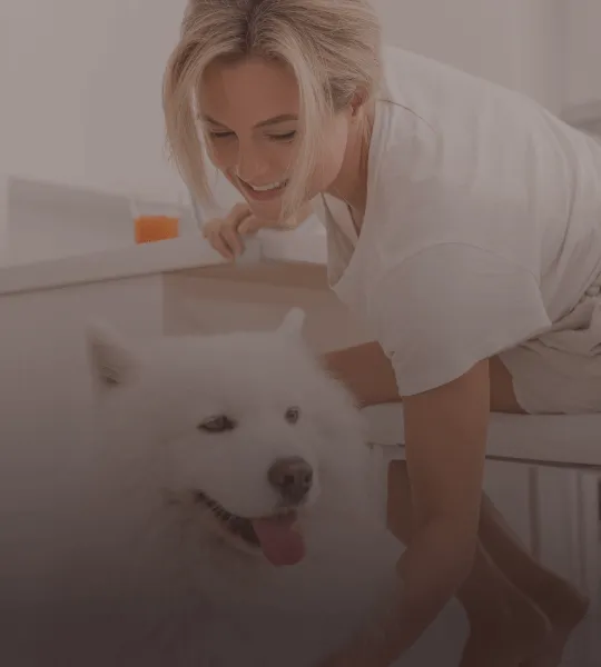 Smiling woman petting a happy white fluffy dog indoors.