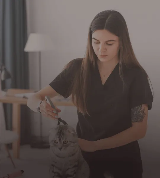 A woman in a black shirt brushing a gray tabby cat indoors.