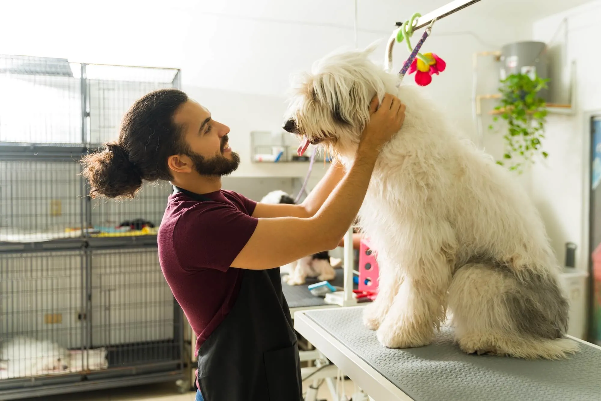 Pet groomer smiling and holding a large fluffy dog on a grooming table in a grooming salon.