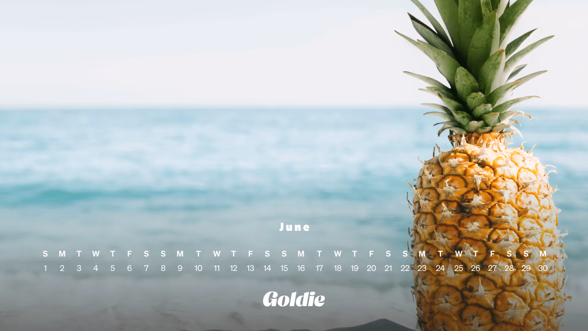 Pineapple calendar wallpaper desktop