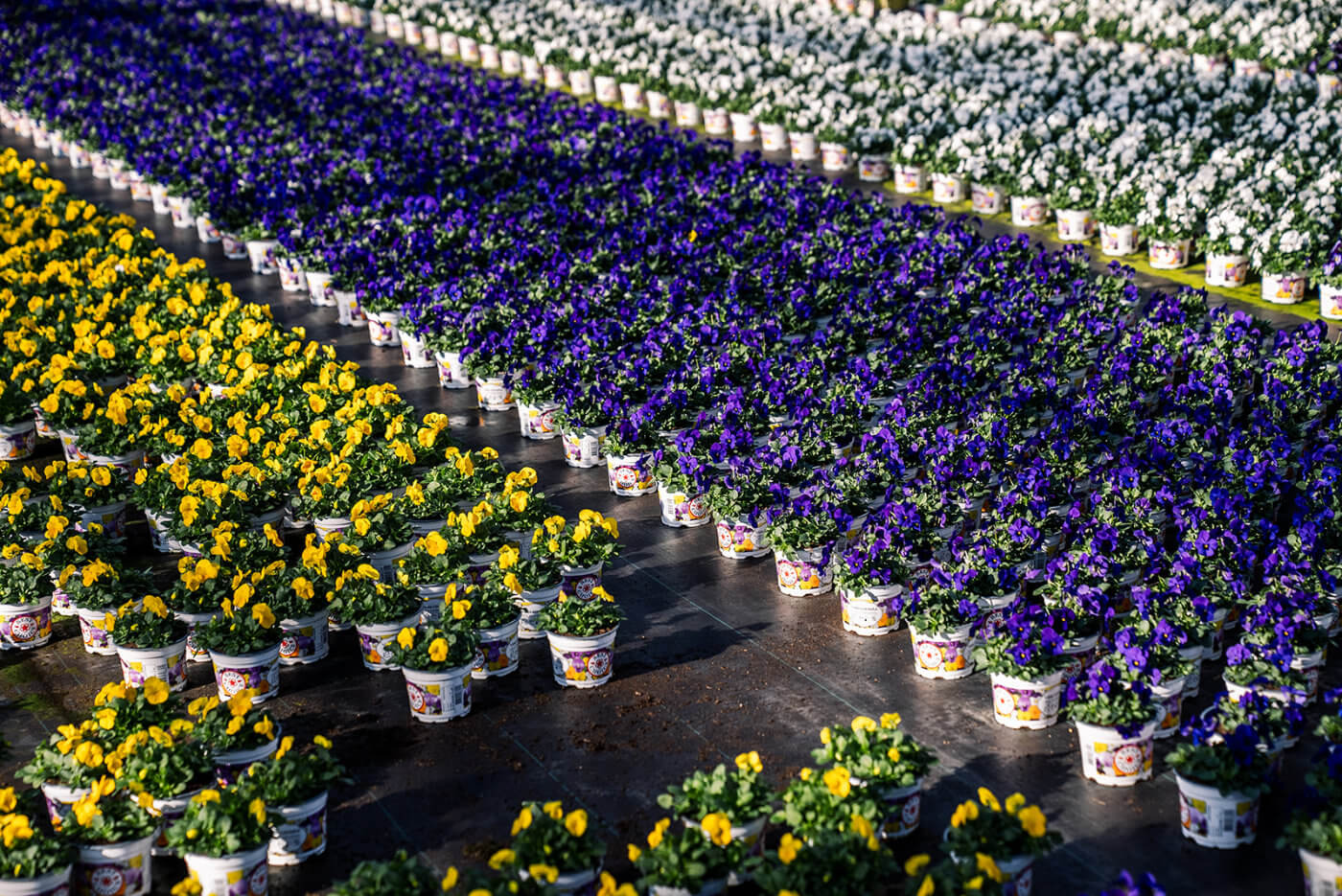 Inkoop- / Verkoop Tuinmaterialen [Benfried]