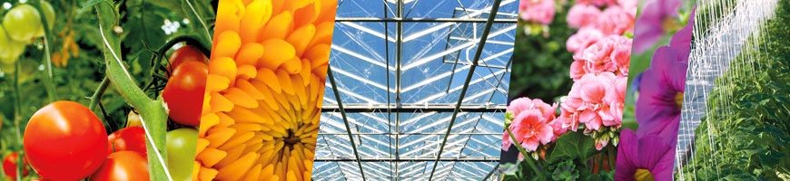 Winkelmedewerker [Benfried]