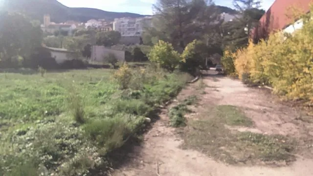 Millares